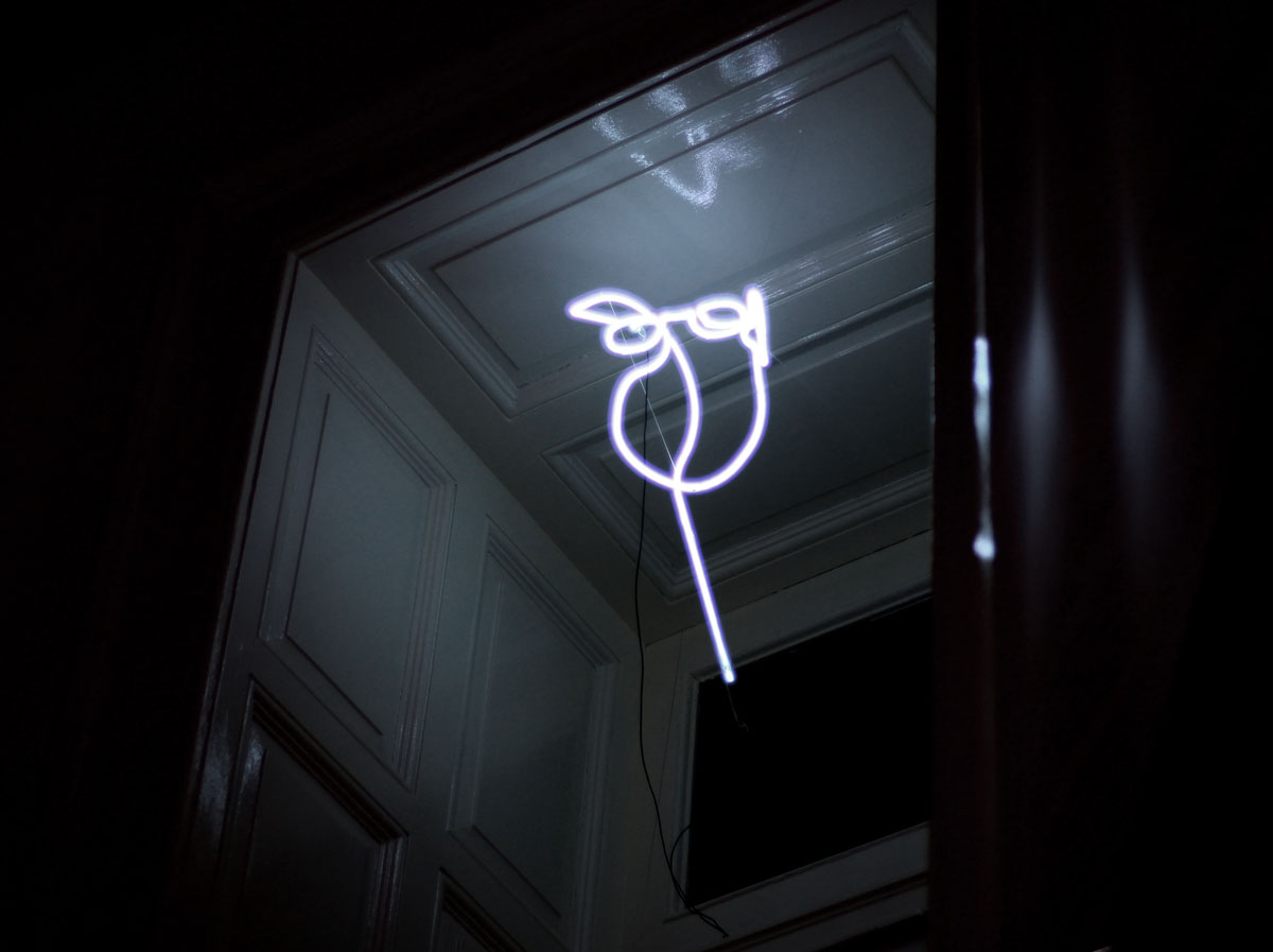 Mirando desde el espacio